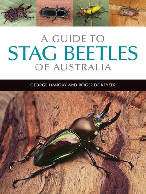 cover image of A Guide to Stag Beetles of Australia